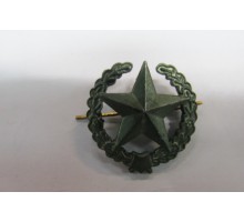 Эмблема (знак) петличная (петлица) - звезда в венке защитная, (Сухопутные войска, старого образца)